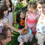 Shavuot on the Farm