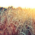 images-4